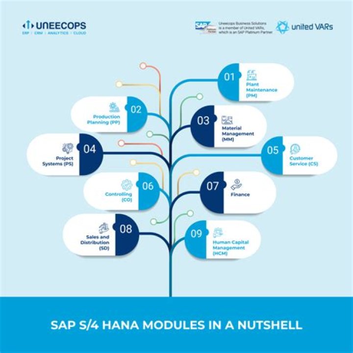 How much does it cost to implement SAP Business One?